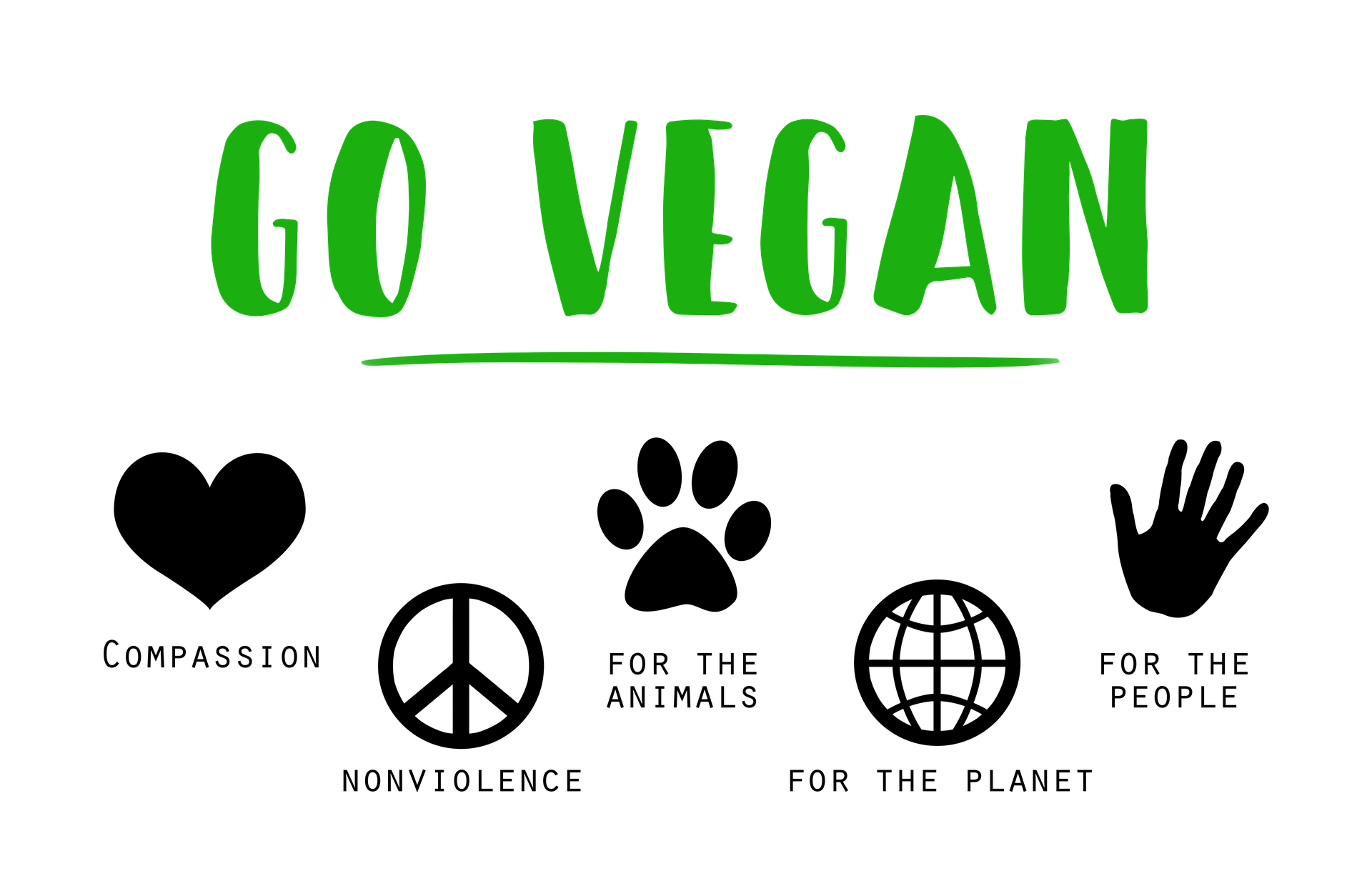 Vegansk Protein