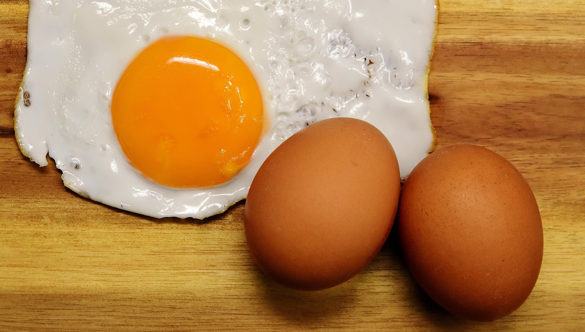Æg som proteinkilde